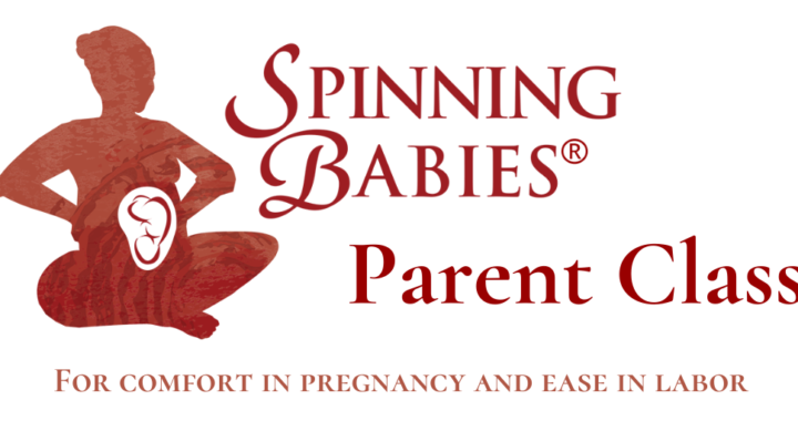 Spinning Babies Parent Class | For Comfort In Pregnancy and Ease In Labor | Heidi Duncan, SpBCPE